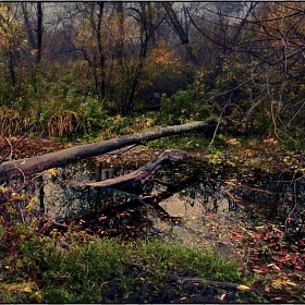 Покинутое русло реки автора fotososunov1955