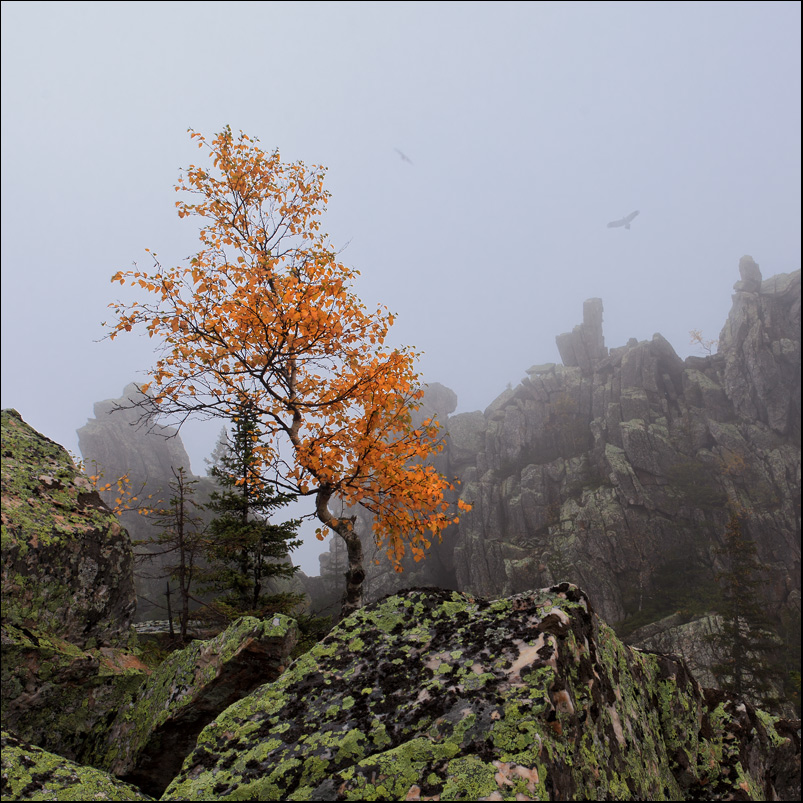 Осень