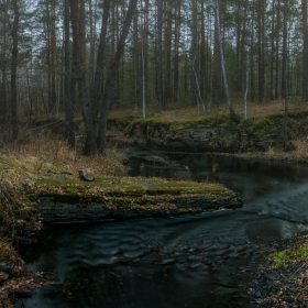 Лесная река автора Getsevphoto