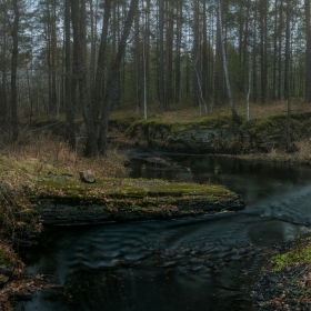 Лесная река