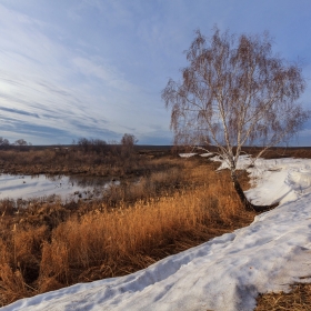 Последний снег