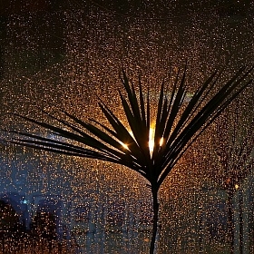 Окно в дождь автора tumanov