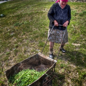 Травка для козла