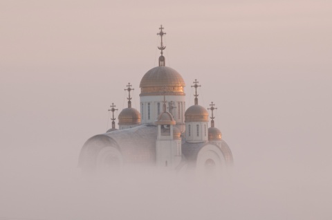 Туманное утро автора Shemetov