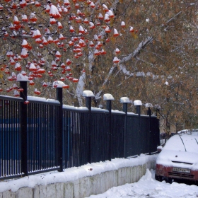Первый снег автора tumanov