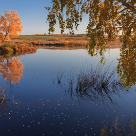 Осень роняет листья