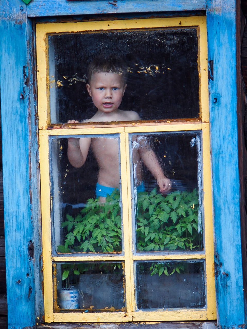 Дети в окне (серия)