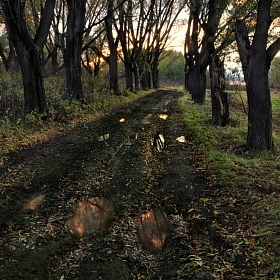 Дорога домой автора fotososunov1955