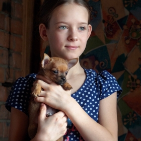 Девочка с собачкой автора giviryak