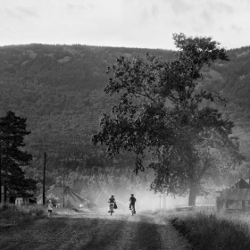 Тополь у дороги автора fotososunov1955