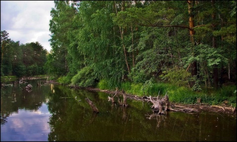 Время сказок на реке...