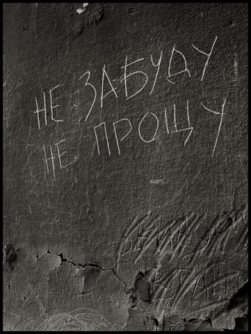 Серия &quot;Цхинвал, 2008. 60 дней спустя...Расстрелянный город&quot;. Алексей Гольянов. Челябинск автора admin