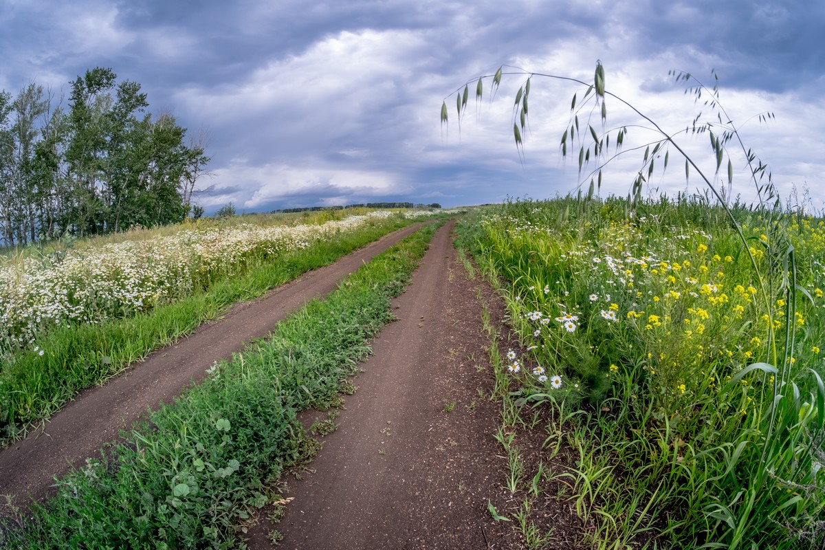 Дорогами Урала (серия)