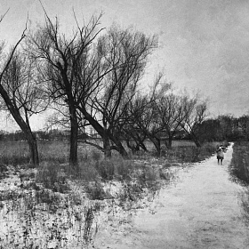 По аллее старой забытой. автора fotososunov1955