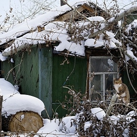 Заброшенный дом автора Kuvshinov