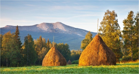 Горят стожки автора astahov