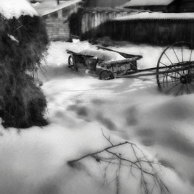 Сельский двор автора fotososunov1955