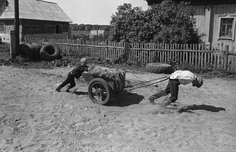 Эх, картошечка! автора vpopov