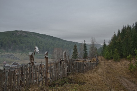 Добро пожаловать автора sharikov