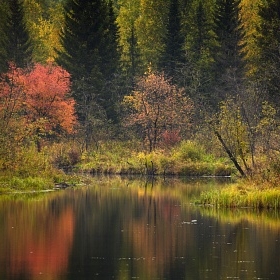 Этюд с осенними красками