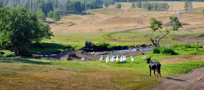 Башкирская гармония