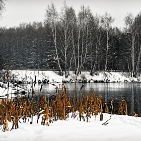 Черно-белая зима автора fotososunov1955