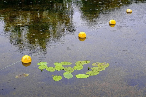 На озере дождь автора Kuvshinov