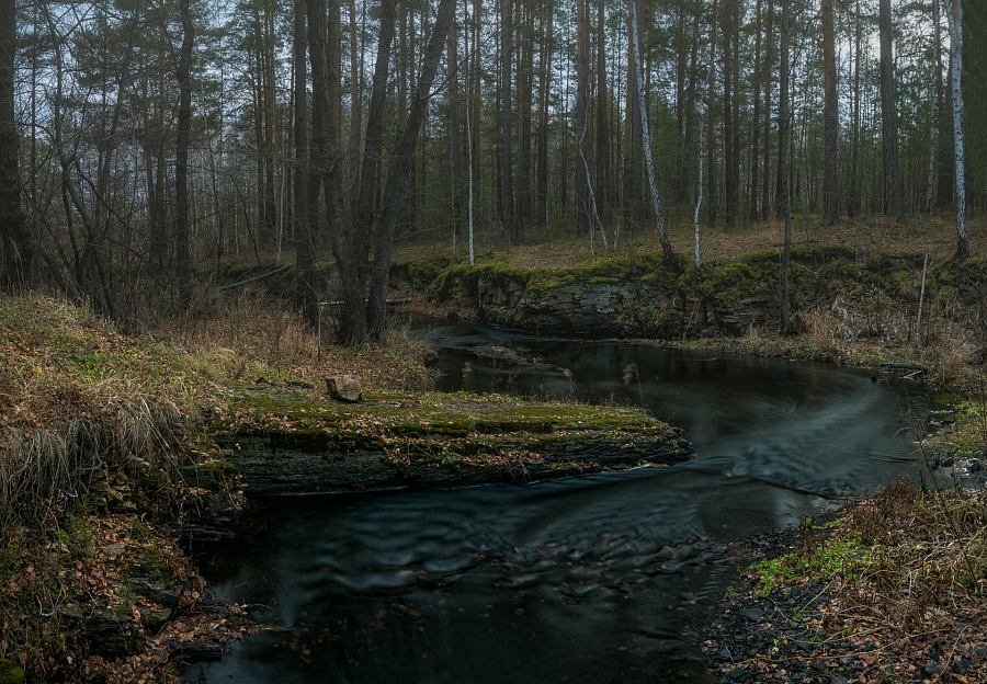 Лесная река