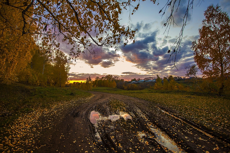 Осенняя лирика.