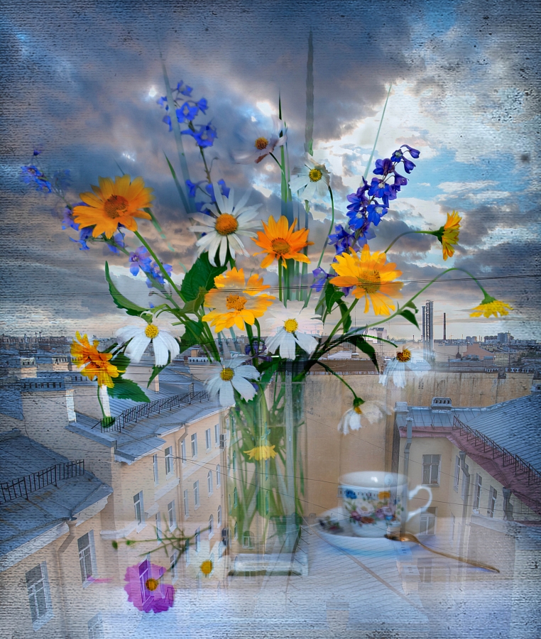 CityStillLife (серия)