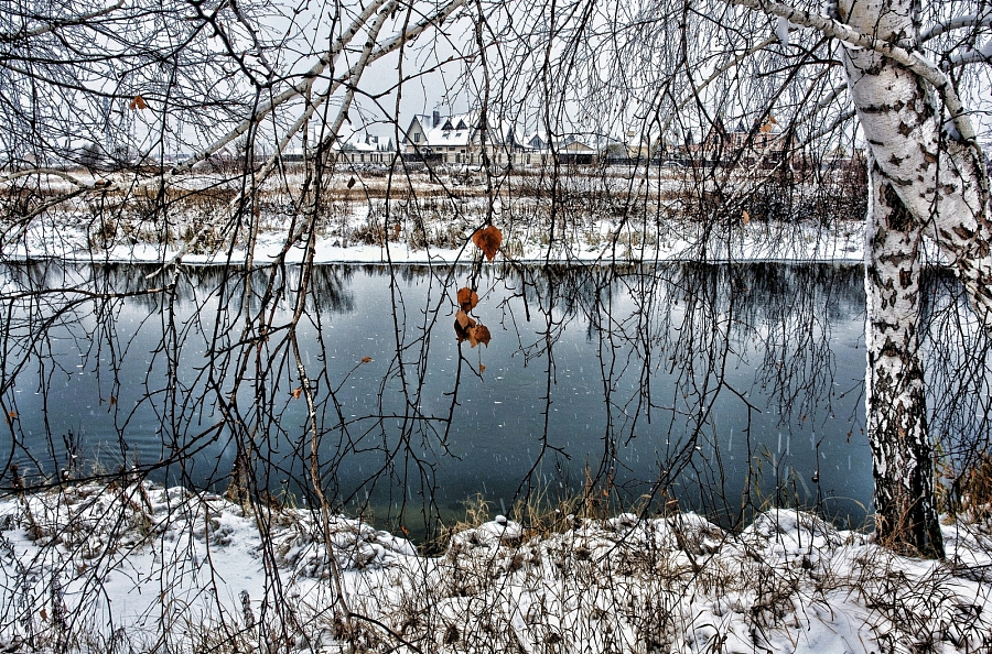 Берега