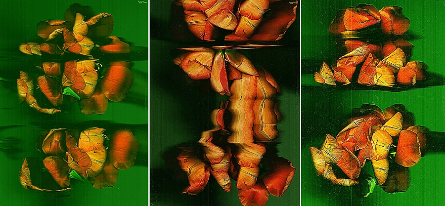 Гений Арчимбольдо
