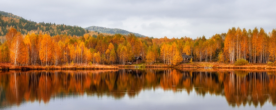 Золото Тыелги (серия)