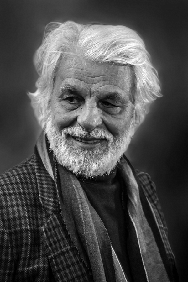 Юлия Боровикова. Микеле Плачидо (свободная тема). 25 баллов