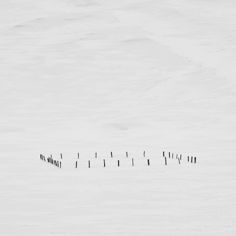 Квадрат