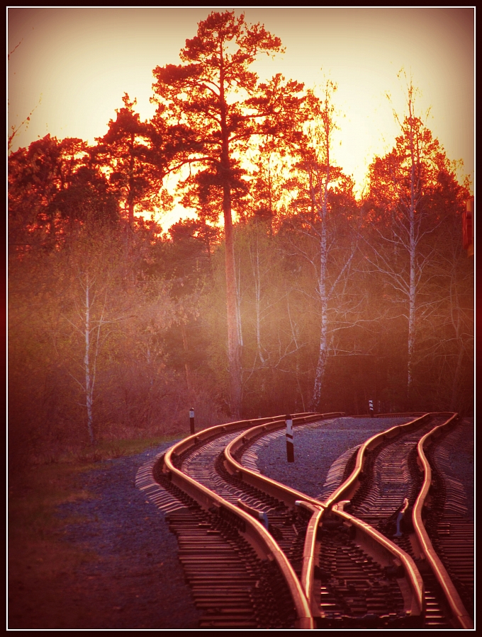 Дорога