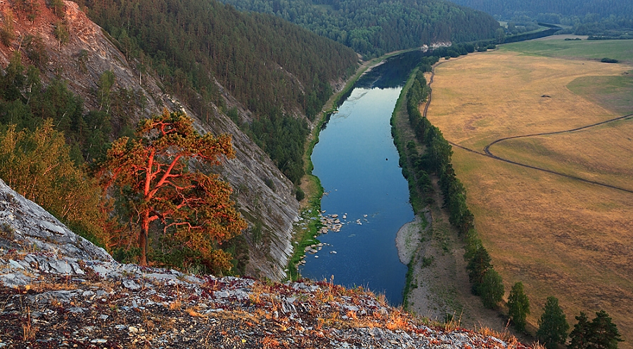 Над рекой