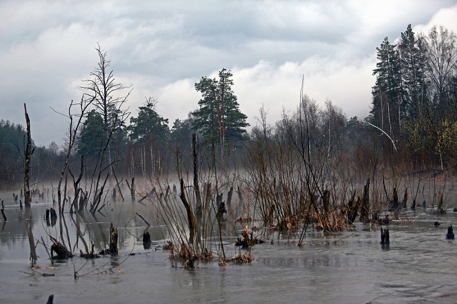 "Большая вода "