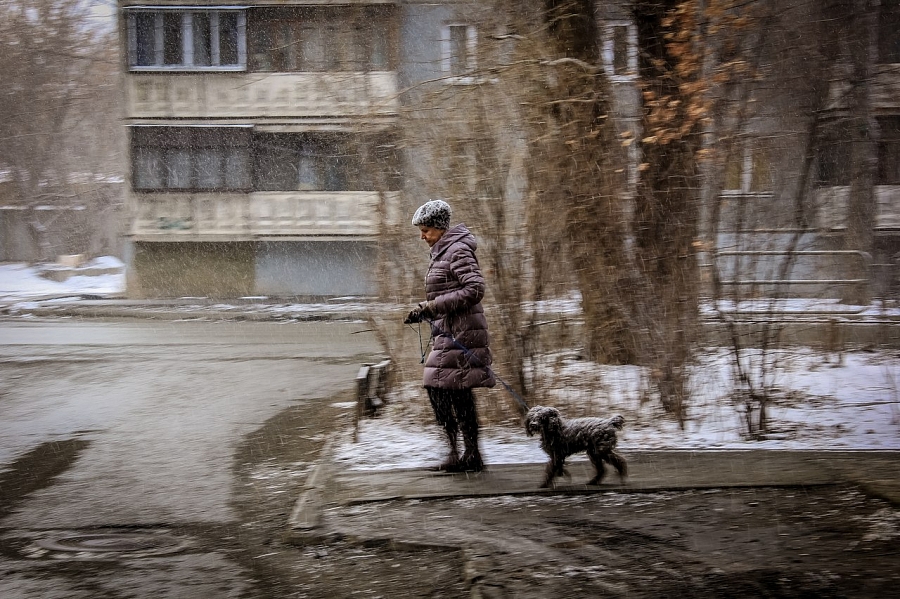 без названия
