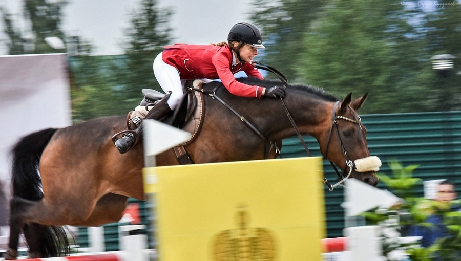 Сергей Курзанов