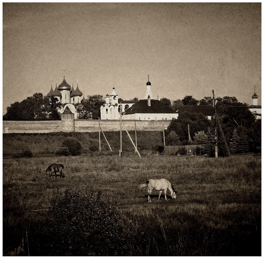 Ходят кони