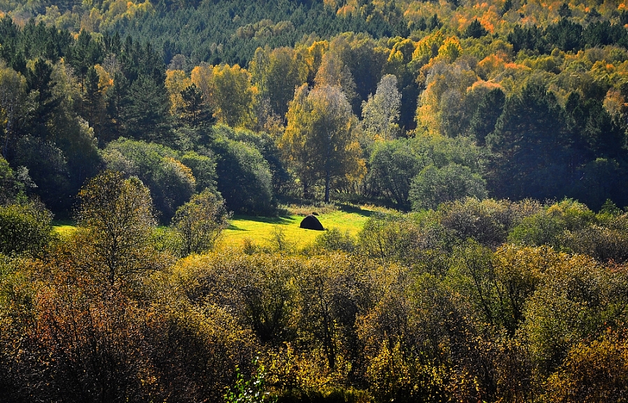 СОЛНЕЧНАЯ ПОЛЯНКА