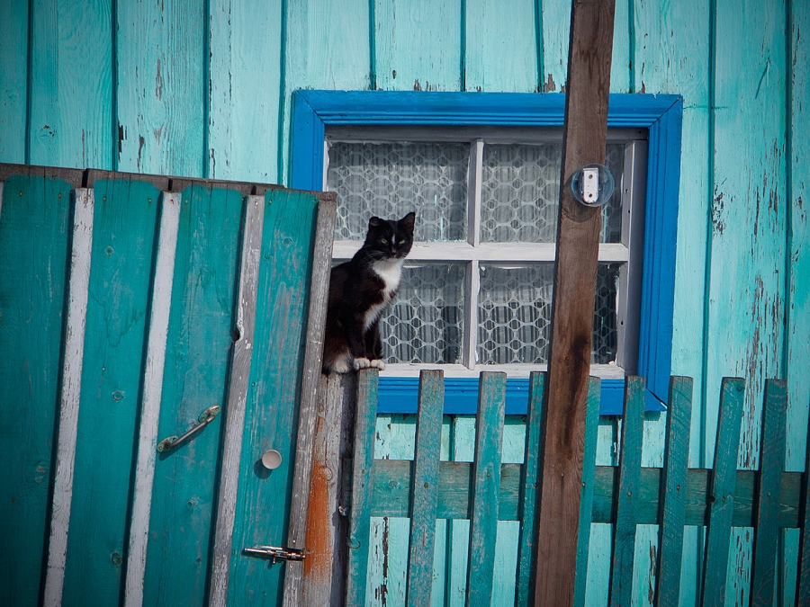 Март в разгаре... (серия)