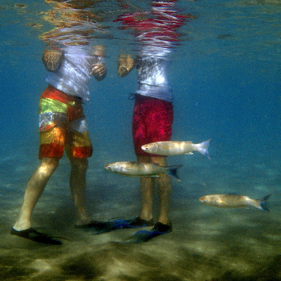 Пятеро в море, не считая фотографа...