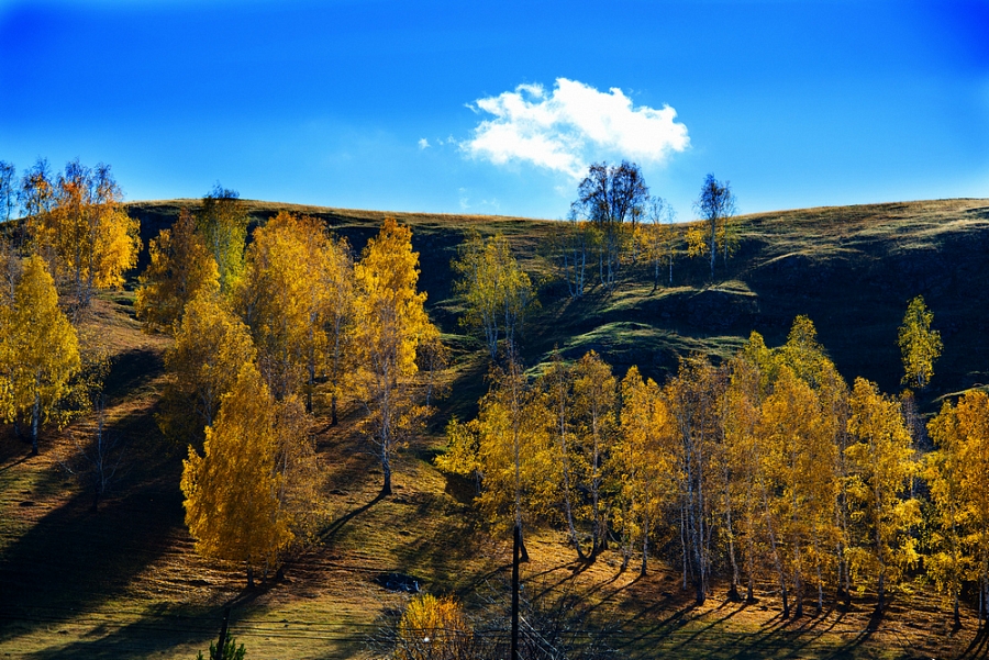 ОСЕННИЙ БЛЮЗ