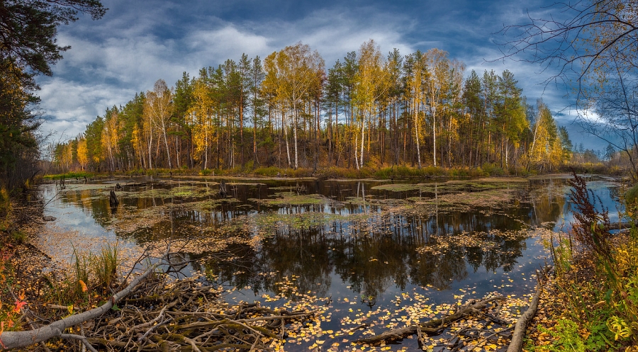 Последний день бабьего лета