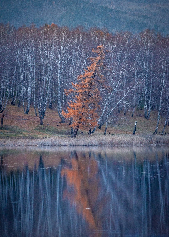Предзимье 2