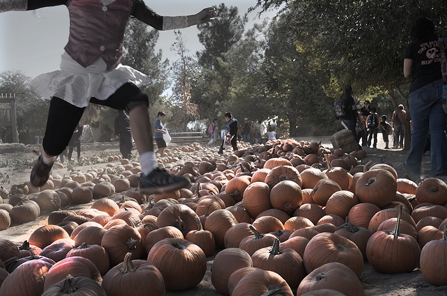 Урожай для Halloween