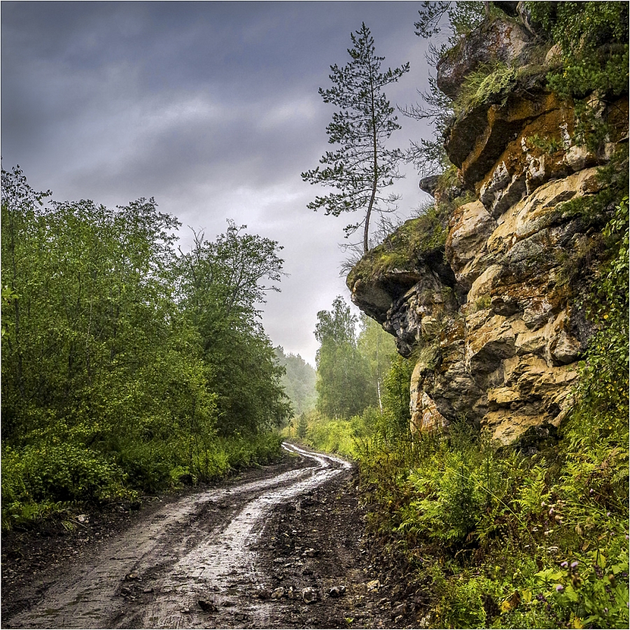 Лесными дорогами