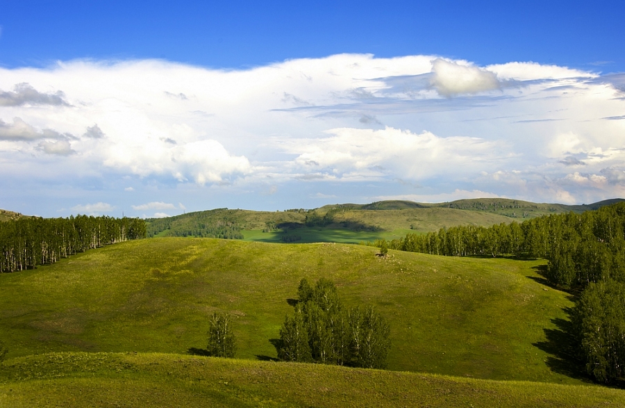 ХОЛМЫ